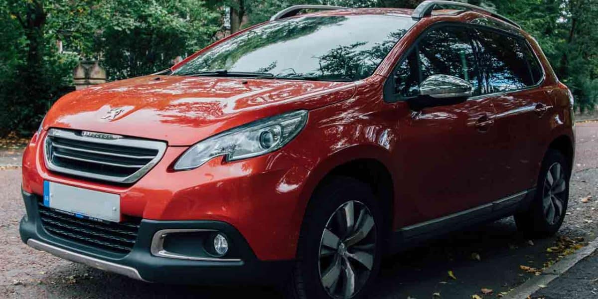Peugeot 2008 Probleme