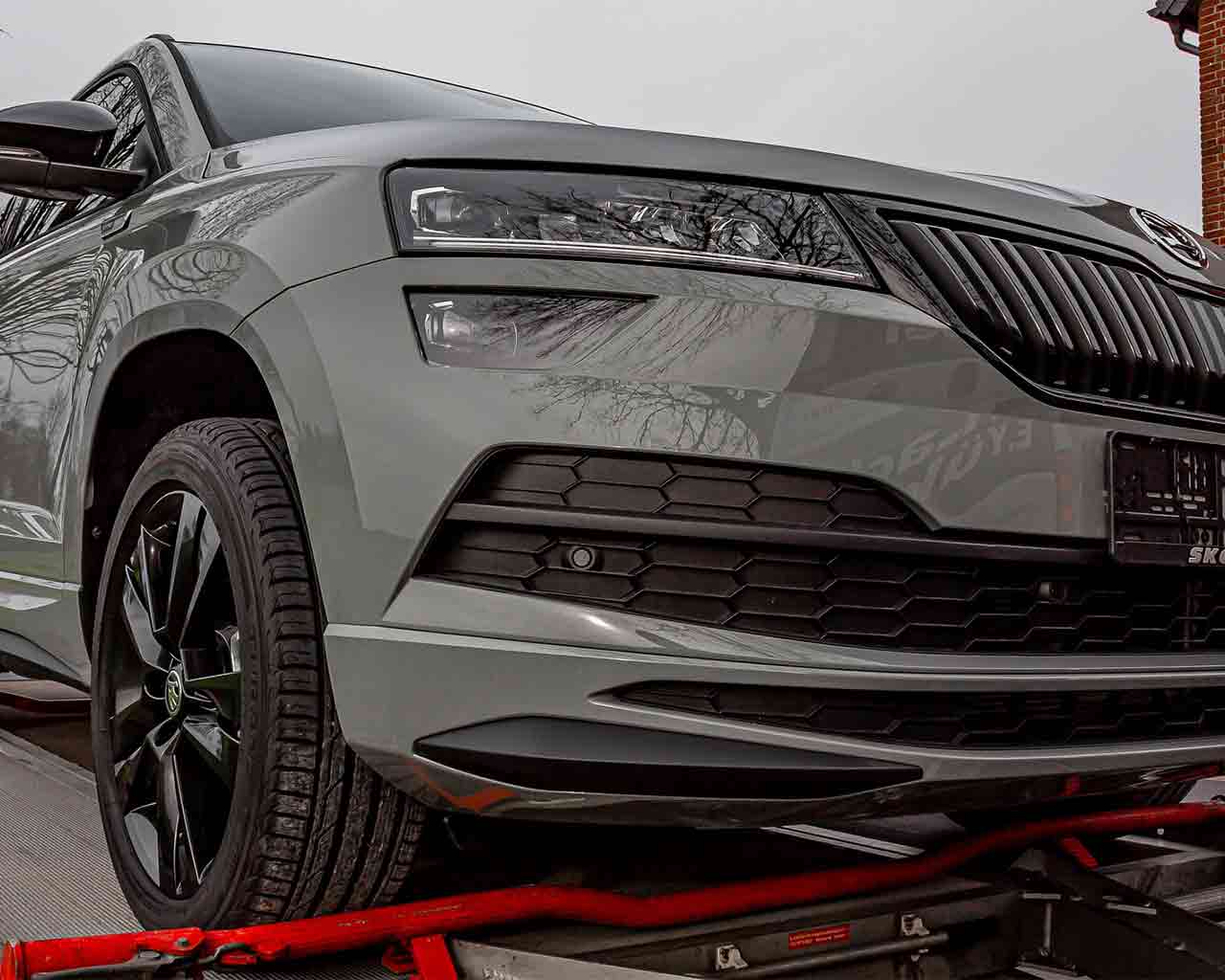 Skoda Karoq Probleme