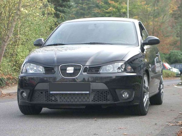 Seat Ibiza III 6L Probleme und Schwachstellen