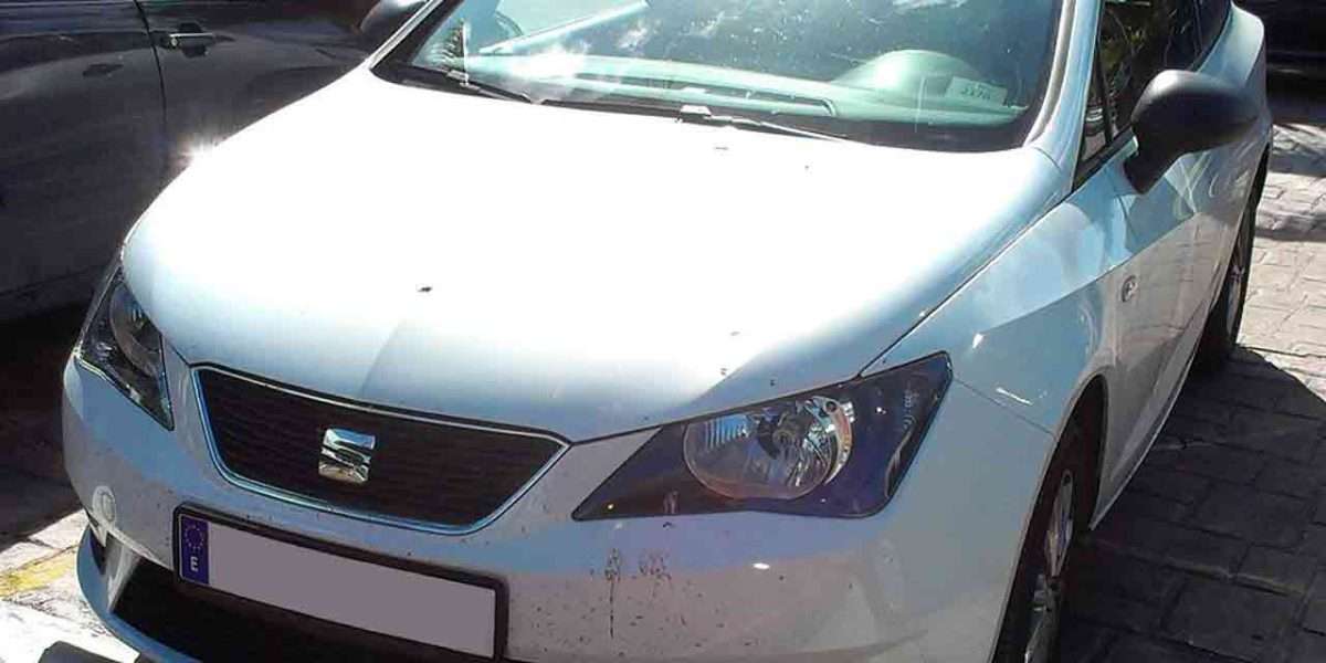 Seat Ibiza Probleme