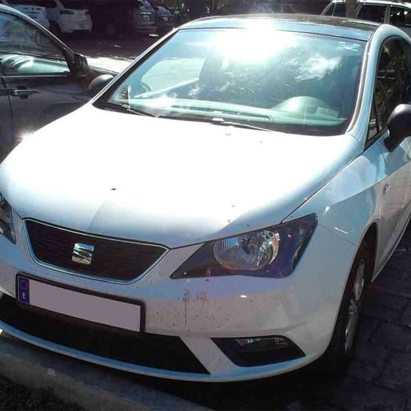 Seat Ibiza IV 6J 2008-2017 Probleme und Krankheiten