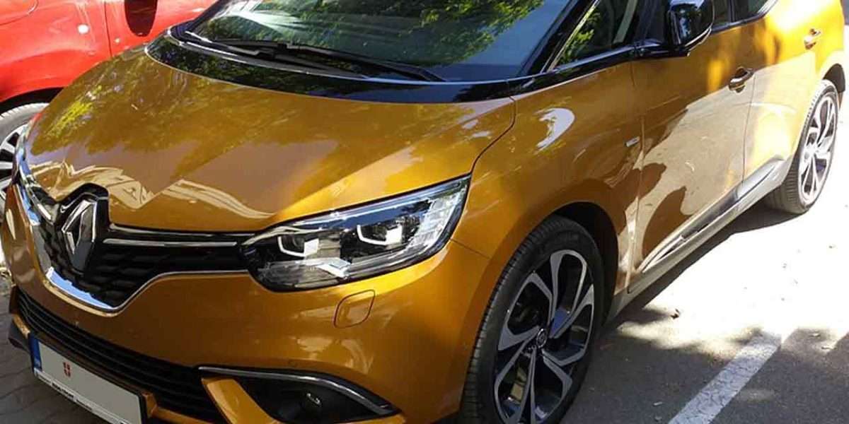 Renault Scenic Krankheiten