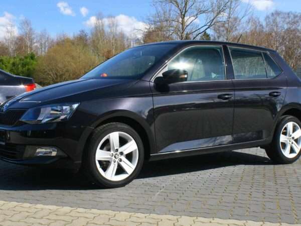 Skoda Fabia III NJ 2014-2021 Probleme Schwachstellen Rückrufe