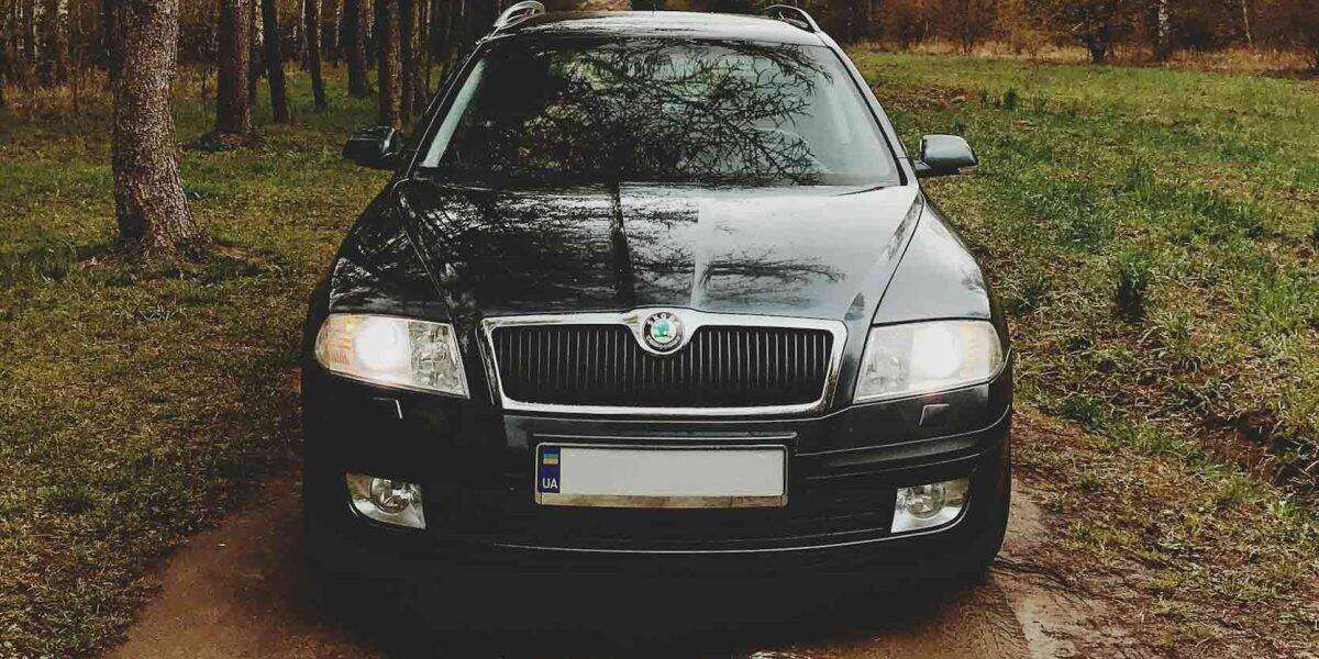 Skoda Octavia 4x4 Probleme