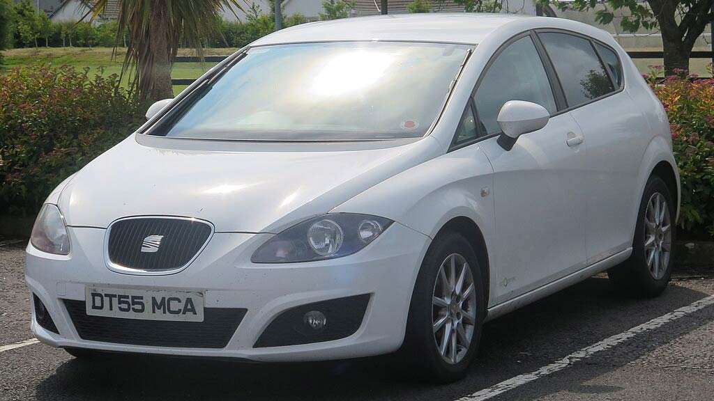 Probleme Seat Leon