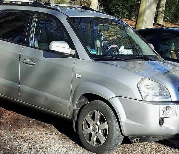 Hyundai Tucson I JM 2004-2010 Probleme und Schwachstellen