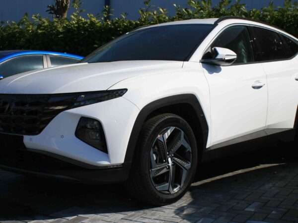 Hyundai Tucson IV NX4 2020-2026 Probleme Schwachstellen