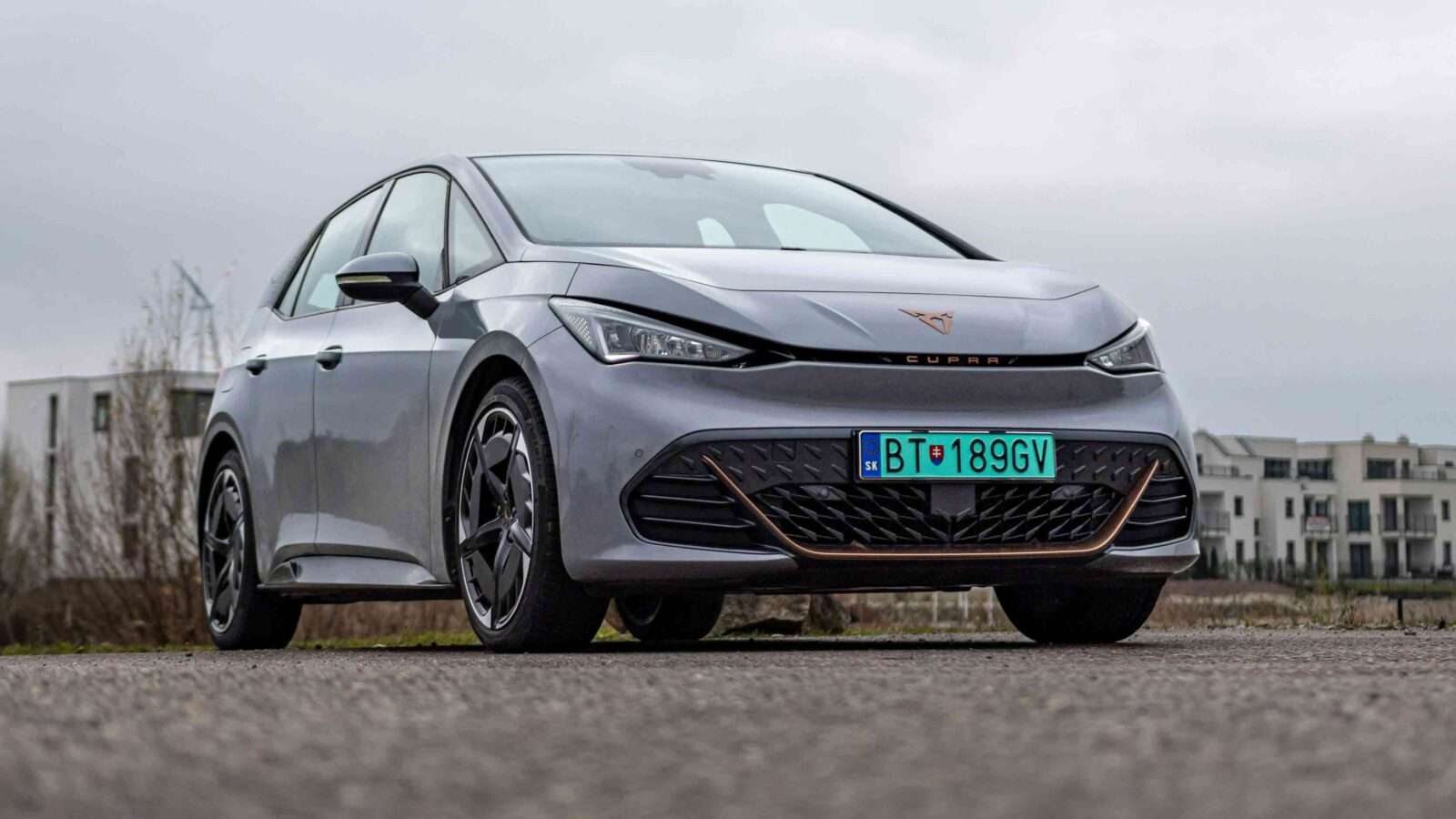 Cupra Born 2021-2026 Probleme und Schwachstellen