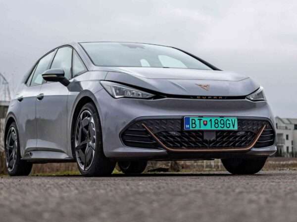 Cupra Born 2021-2026 Probleme und Schwachstellen